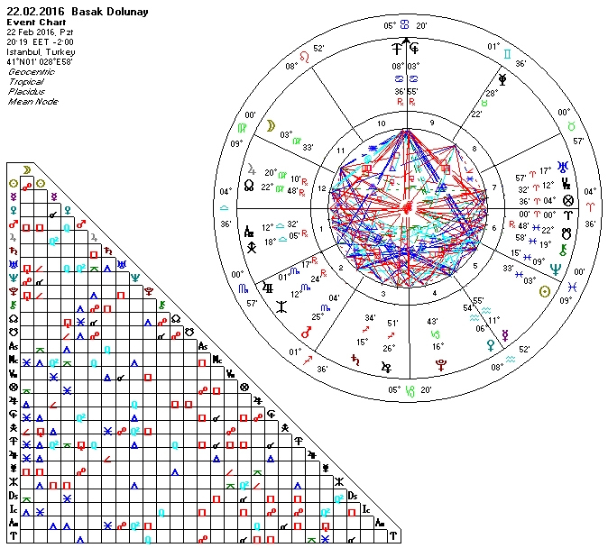 22.02.2016 Basak Dolunay.jpg