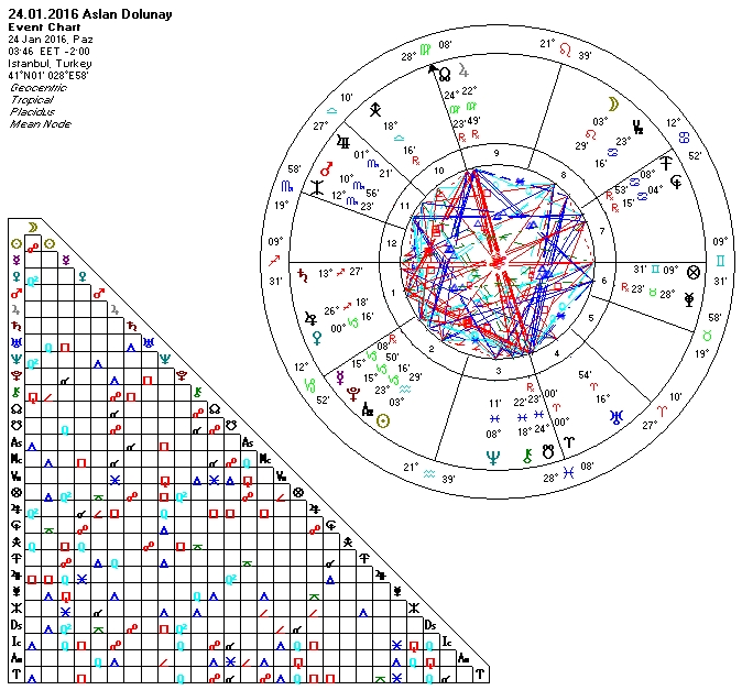 24.01.2016 Aslan Dolunay.jpg